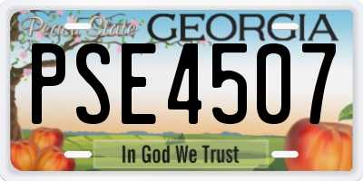 GA license plate PSE4507