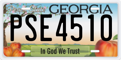 GA license plate PSE4510