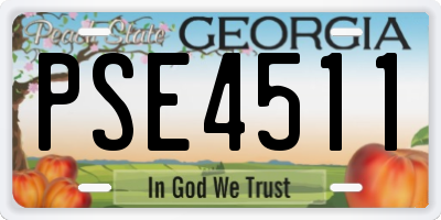 GA license plate PSE4511