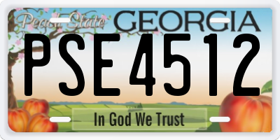 GA license plate PSE4512