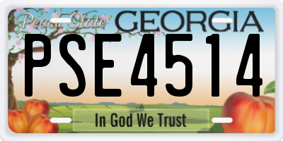 GA license plate PSE4514