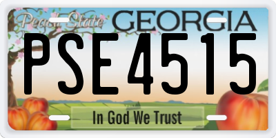 GA license plate PSE4515