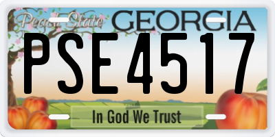 GA license plate PSE4517