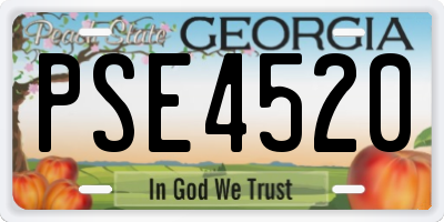GA license plate PSE4520