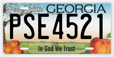 GA license plate PSE4521