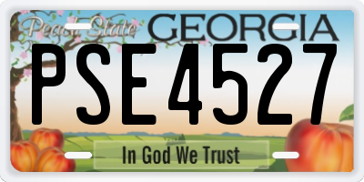 GA license plate PSE4527