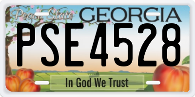 GA license plate PSE4528