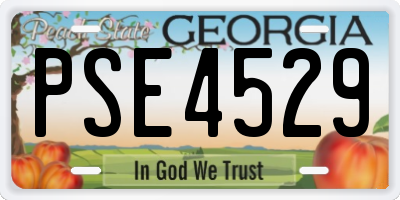 GA license plate PSE4529