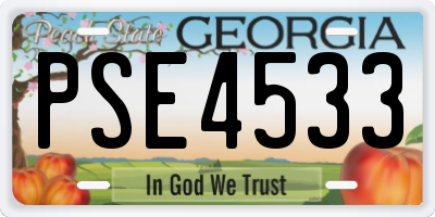 GA license plate PSE4533