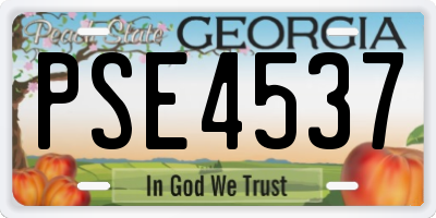 GA license plate PSE4537