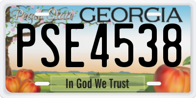 GA license plate PSE4538