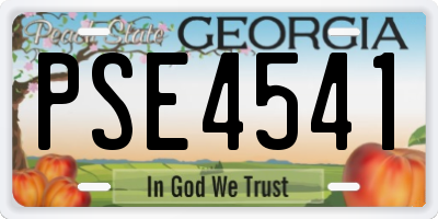 GA license plate PSE4541