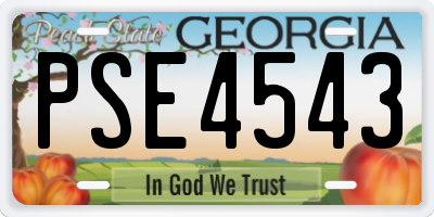 GA license plate PSE4543