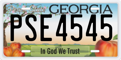 GA license plate PSE4545