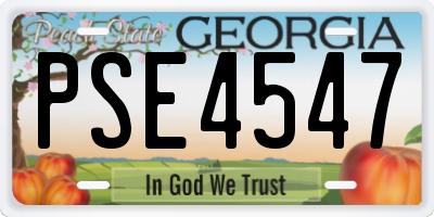 GA license plate PSE4547