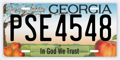 GA license plate PSE4548
