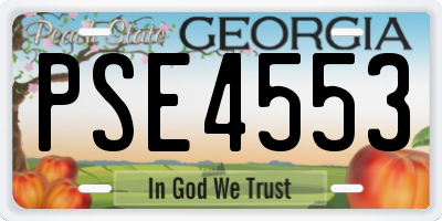 GA license plate PSE4553