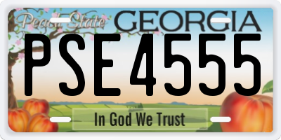 GA license plate PSE4555
