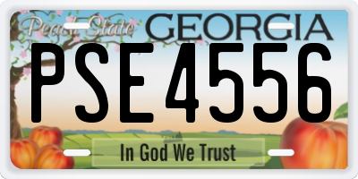 GA license plate PSE4556