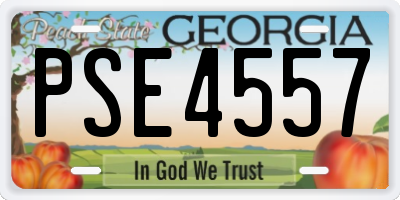 GA license plate PSE4557