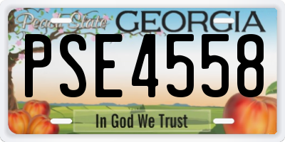 GA license plate PSE4558