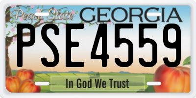GA license plate PSE4559
