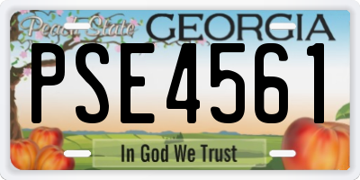 GA license plate PSE4561