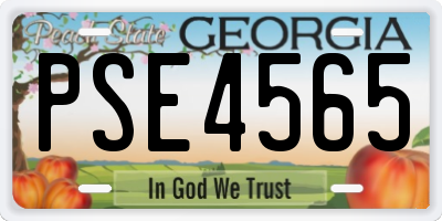 GA license plate PSE4565