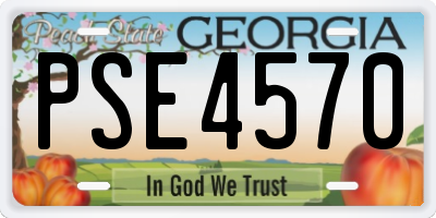 GA license plate PSE4570