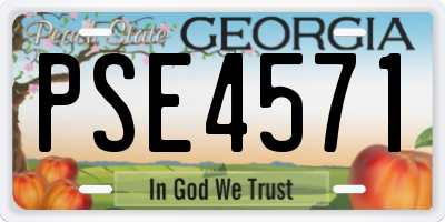 GA license plate PSE4571