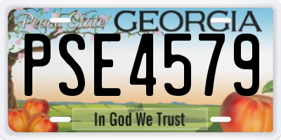 GA license plate PSE4579