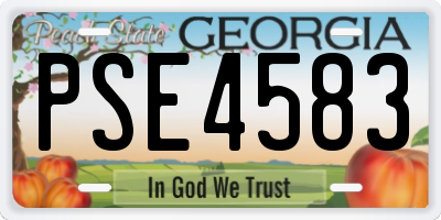GA license plate PSE4583