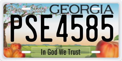 GA license plate PSE4585