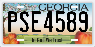 GA license plate PSE4589