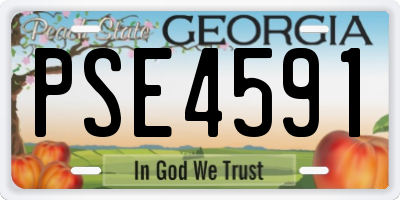 GA license plate PSE4591