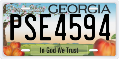 GA license plate PSE4594