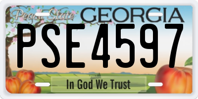 GA license plate PSE4597