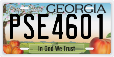 GA license plate PSE4601