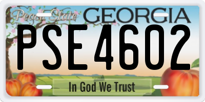 GA license plate PSE4602