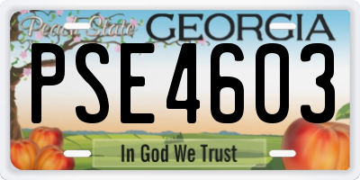GA license plate PSE4603