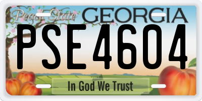 GA license plate PSE4604