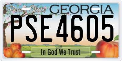 GA license plate PSE4605