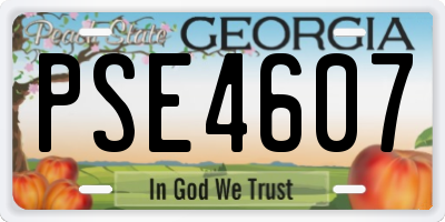 GA license plate PSE4607