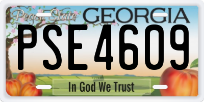 GA license plate PSE4609