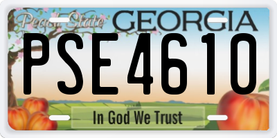 GA license plate PSE4610