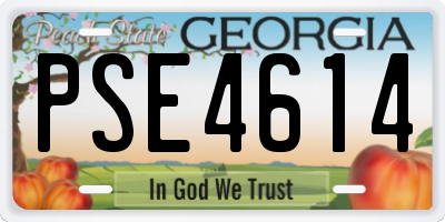 GA license plate PSE4614