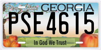 GA license plate PSE4615