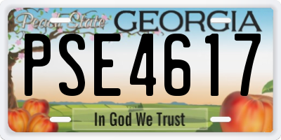 GA license plate PSE4617