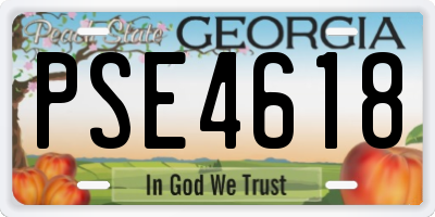 GA license plate PSE4618