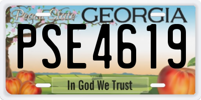 GA license plate PSE4619